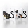 Katteglasskopp
